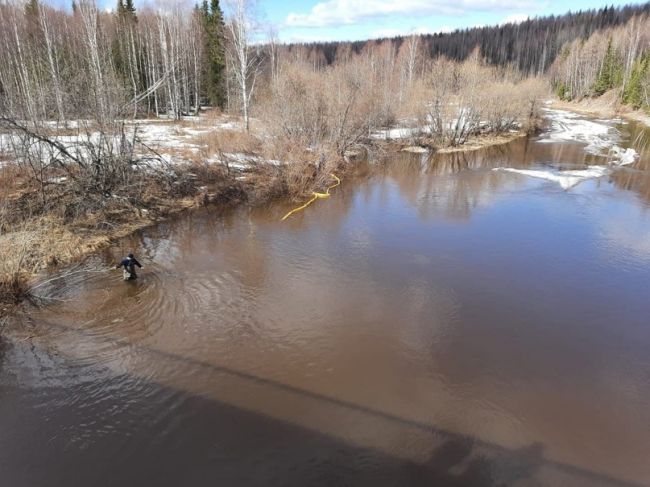 Получены анализы проб воды в реке Ухта в районах поселка Водный и города